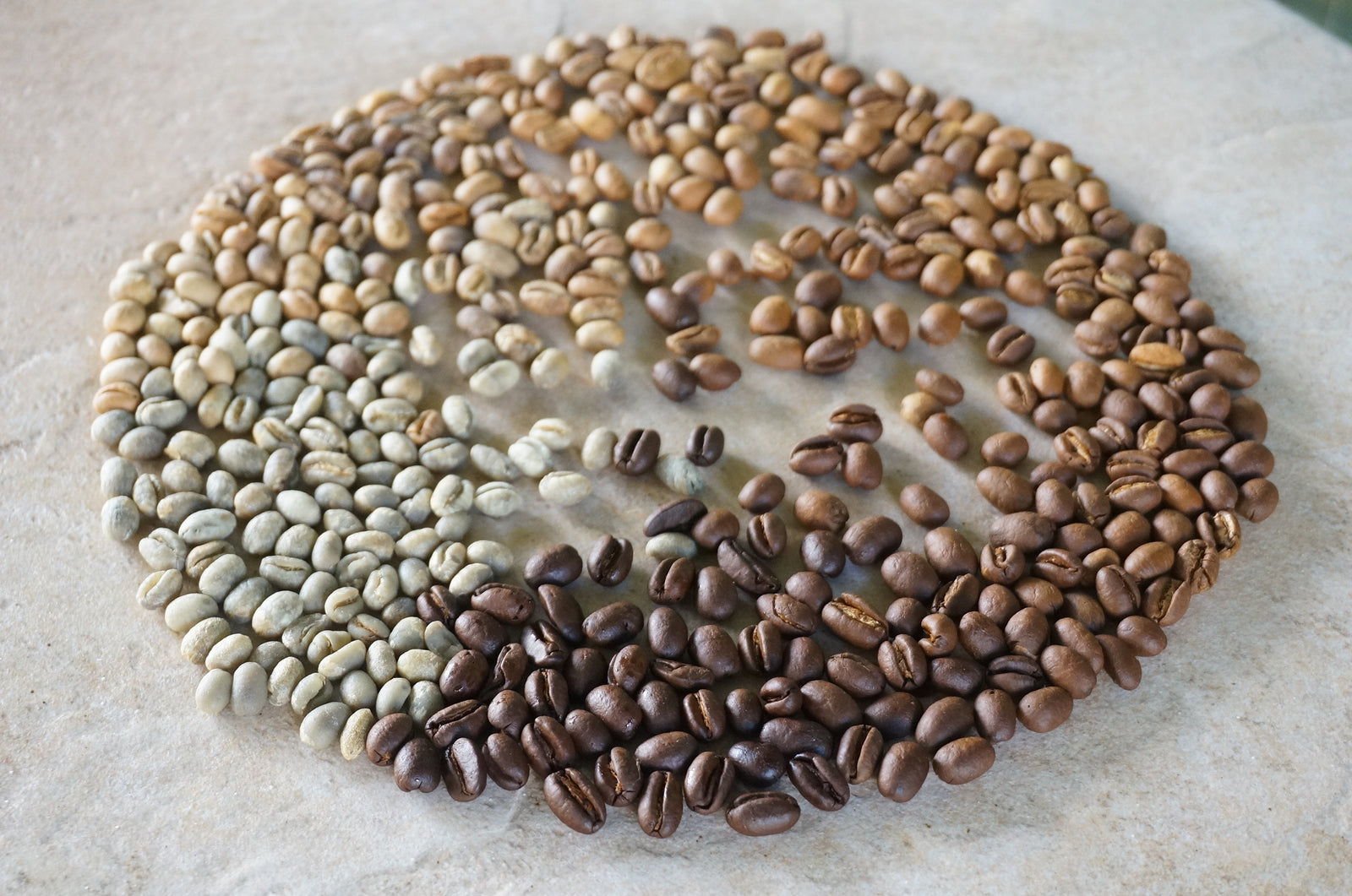 variety of coffee roasts beans from dark to light roast