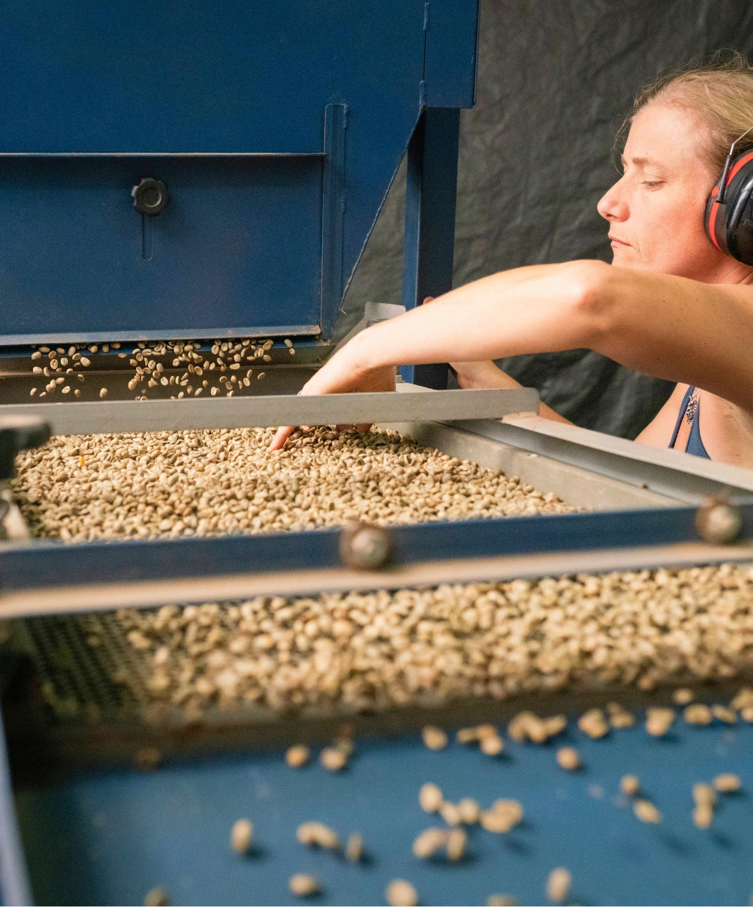 Sorting through green coffee beans