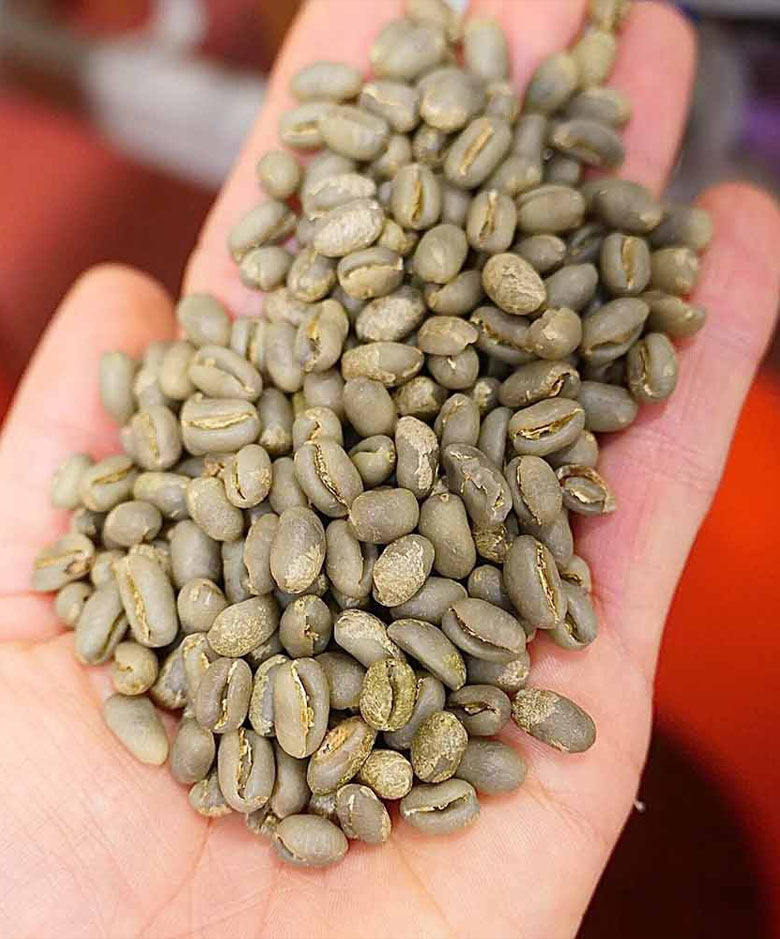 unroasted green coffee beans 