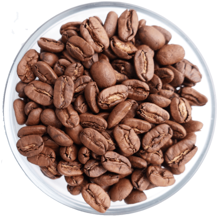 Big Island Coffee Roasters Hawaiian Coffee Ka'u Maragogipe